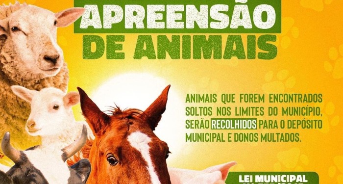 Barra de Santo Antônio: A prefeitura realiza apreensão de animais soltos nos limites do munícipio
